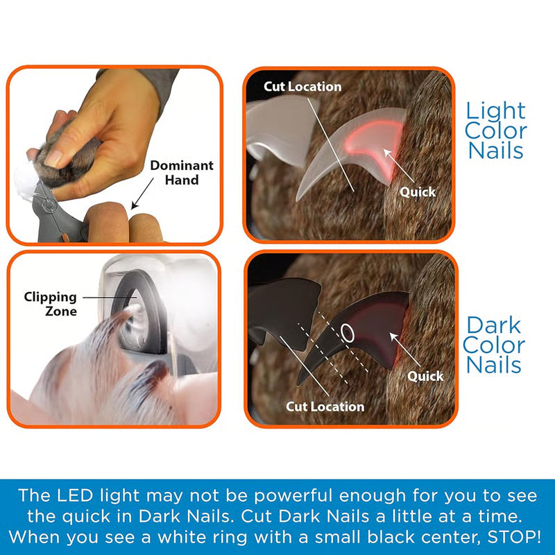 Bright light, less guesswork
