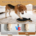Dog Nail Scratch Board with Treat Drawer for Front Paw Nails